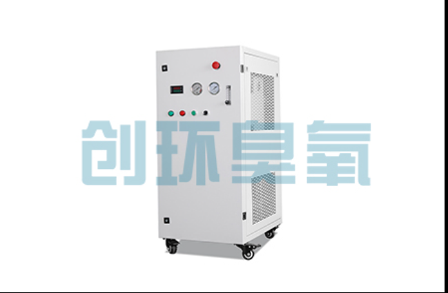 庆阳工厂化养鲈必看：2026年臭氧发生器替代传统消毒的最新方案
