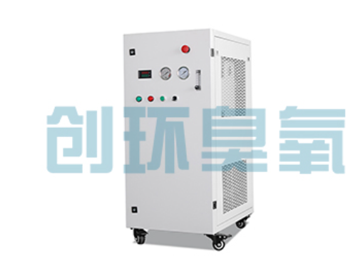庆阳石斑鱼养殖水质调控完整指南：臭氧发生器配置与操作步骤