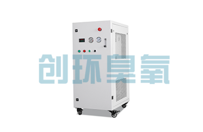 庆阳比传统换水更高效？臭氧发生器在石斑鱼养殖中的水质净化原理解析